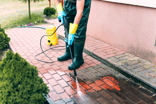 Best Animal Enclosure Cleaning  in Bainbridge, OH